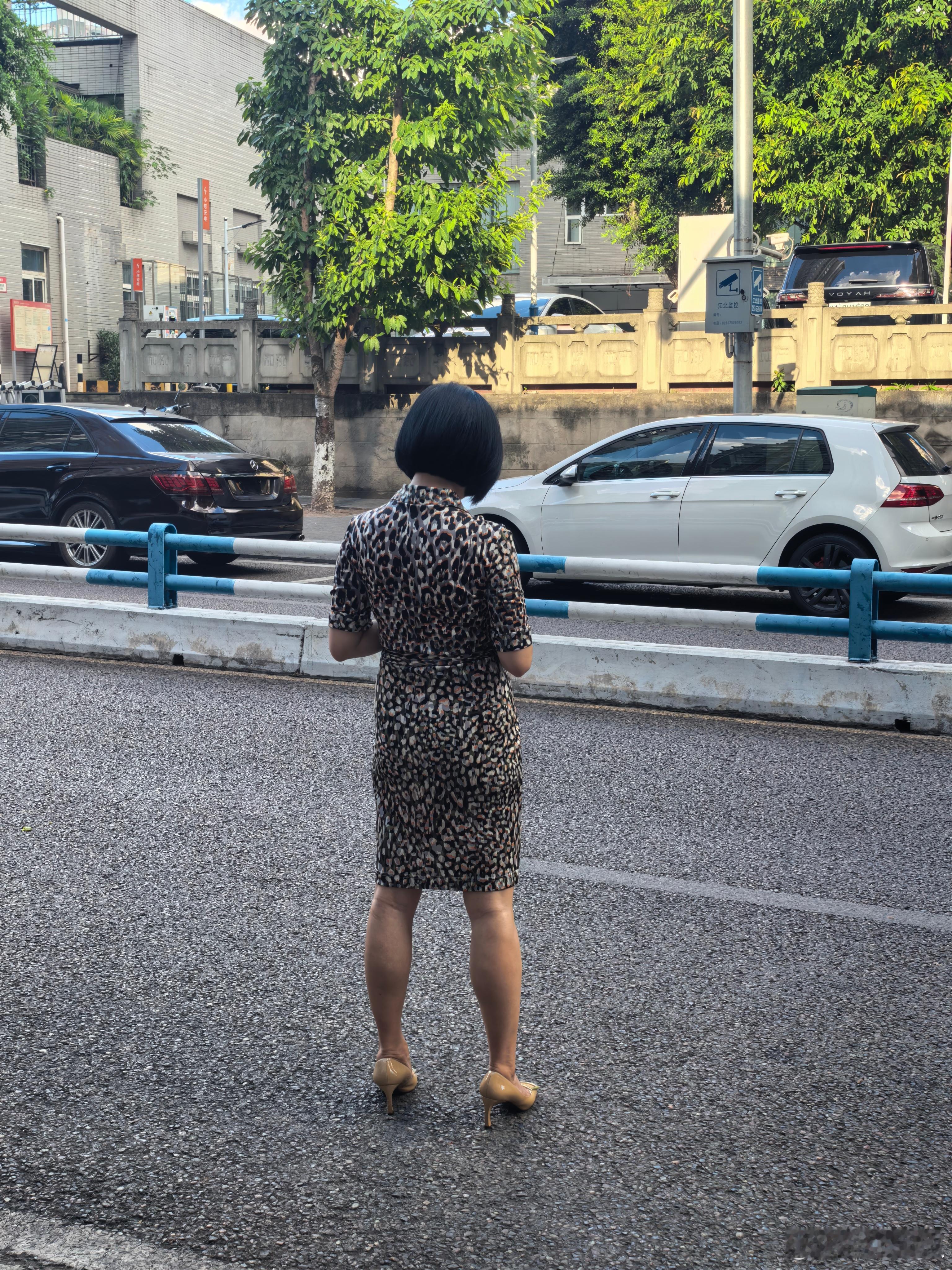 路边等车 ​​​