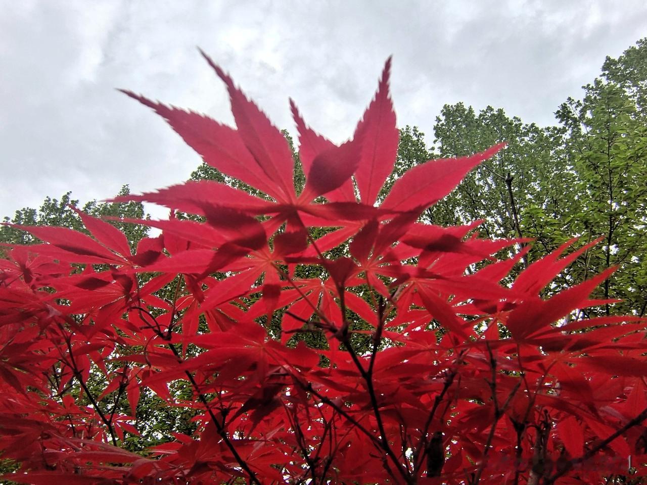 奶奶带孙子,是义务还是情分?

中国传统式家庭
隔辈孙子也心疼
爷爷奶奶要带孙