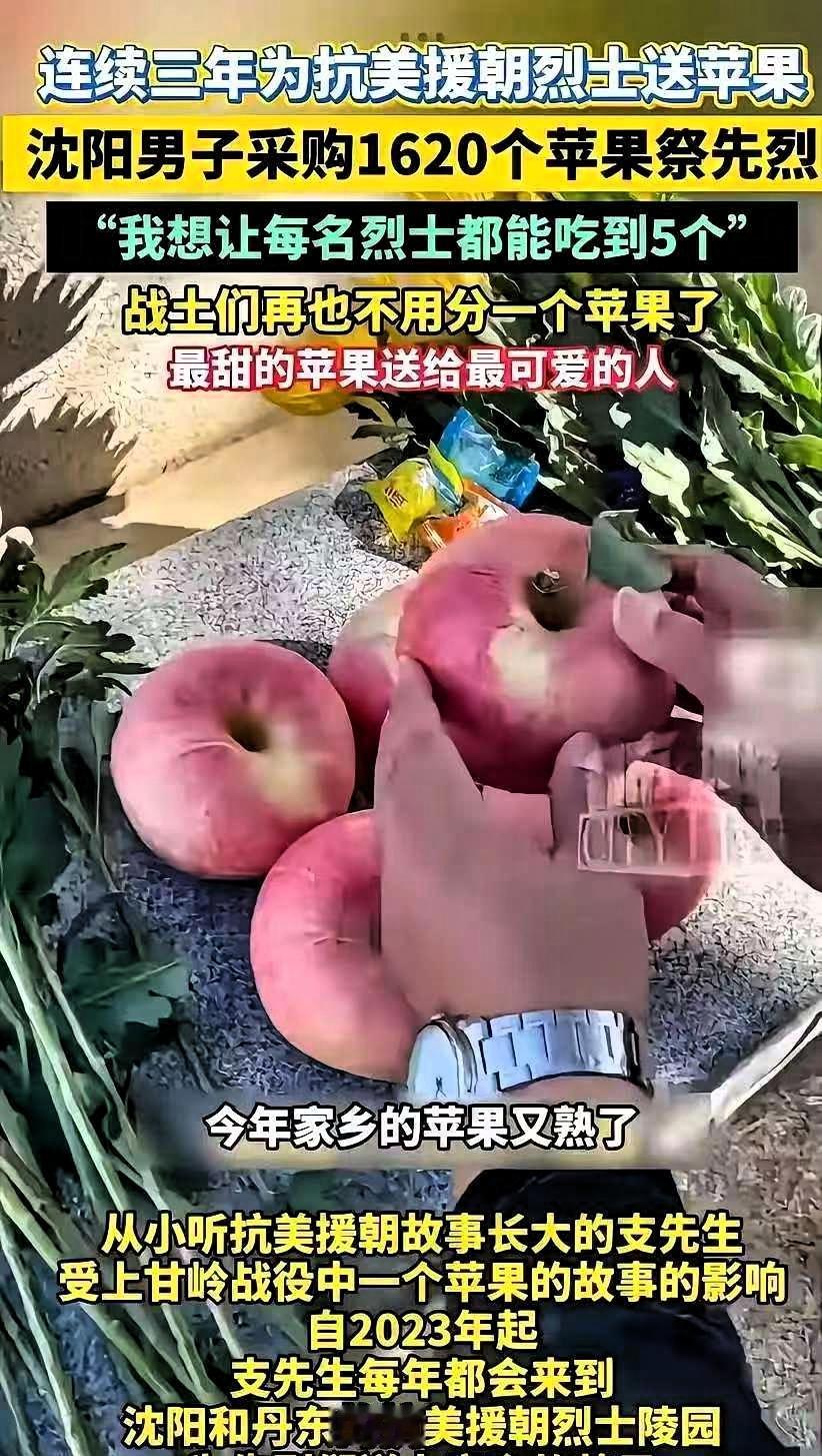 感动哭了！沈阳，47岁男子带着1650个苹果来到丹东烈士陵园，然后在每个墓碑前放