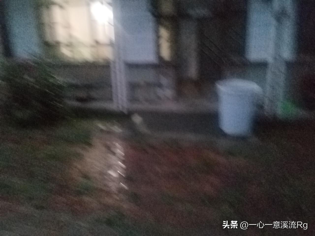 今天的暴雨没有来，小雨还是如约而至，从上午8点多毛毛细雨，断断续续至晚上，还是淅