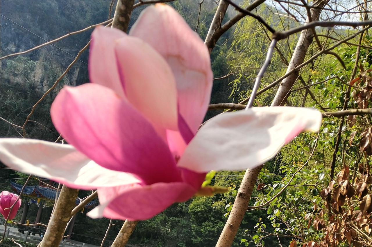 父母走了，兄弟姐妹真的会变陌生吗？
昨天和邻居李姐聊天，她红着眼睛说：“自从爸妈