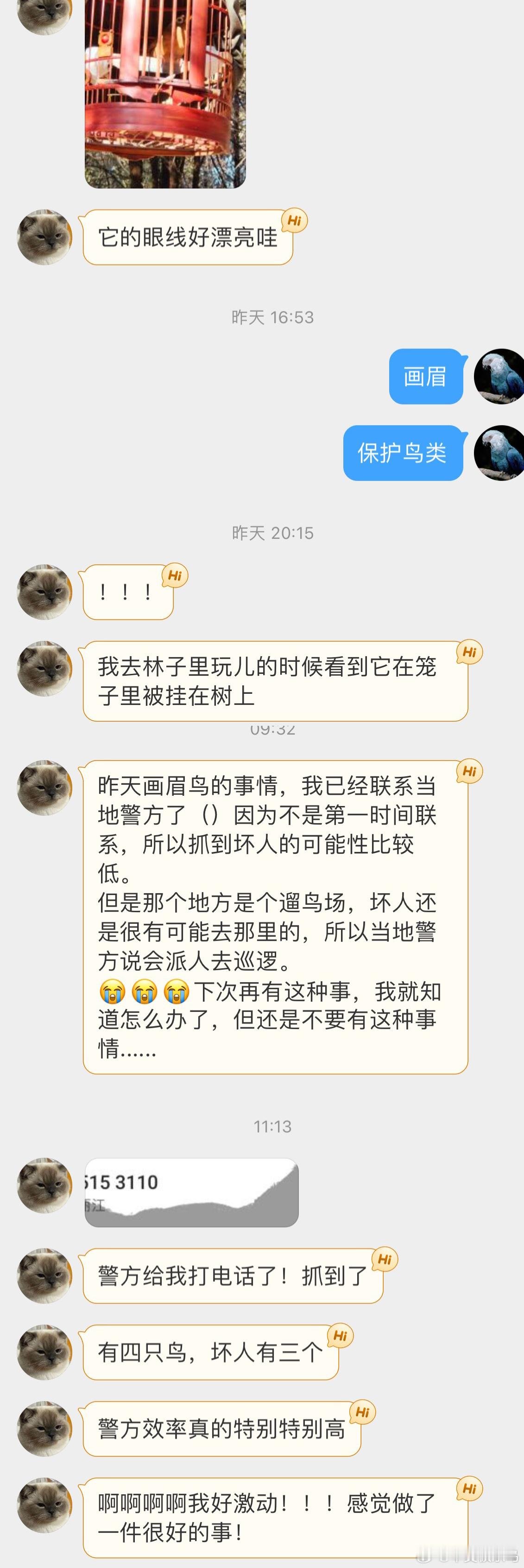 画眉属于野生鸟类，国家二级保护动物不可饲养的 虽然鸟市常见，但都属于违法行为感谢