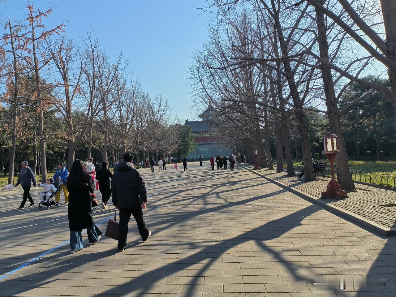 看照片感觉有华人血统[捂脸]