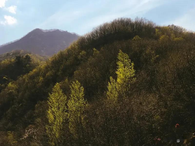 “眉似春山颜似玉”，短短七个字，就把美人的神韵勾勒得淋漓尽致。春山般的眉，带着几