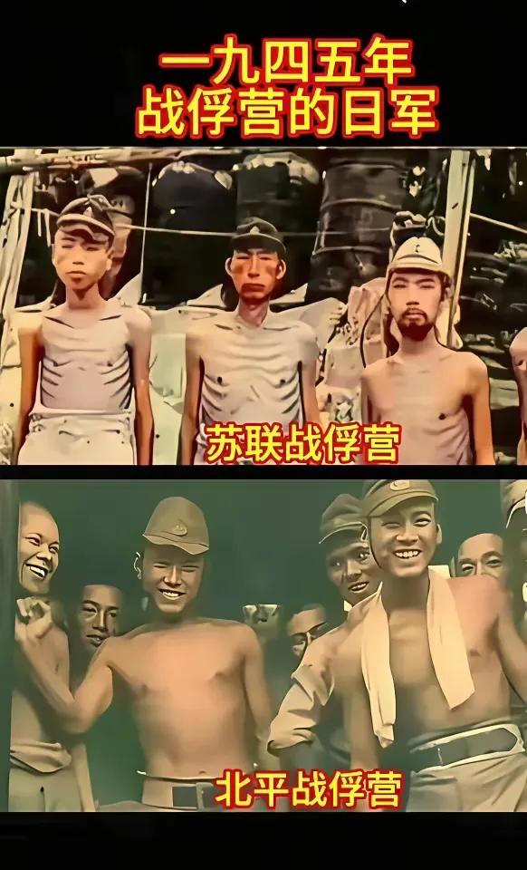 千古罪人蒋光头。。。