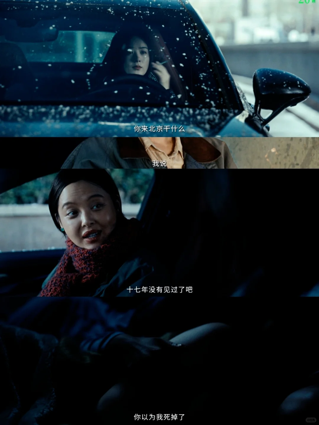 辛芷蕾行为请勿上升黄河路女老板🚫