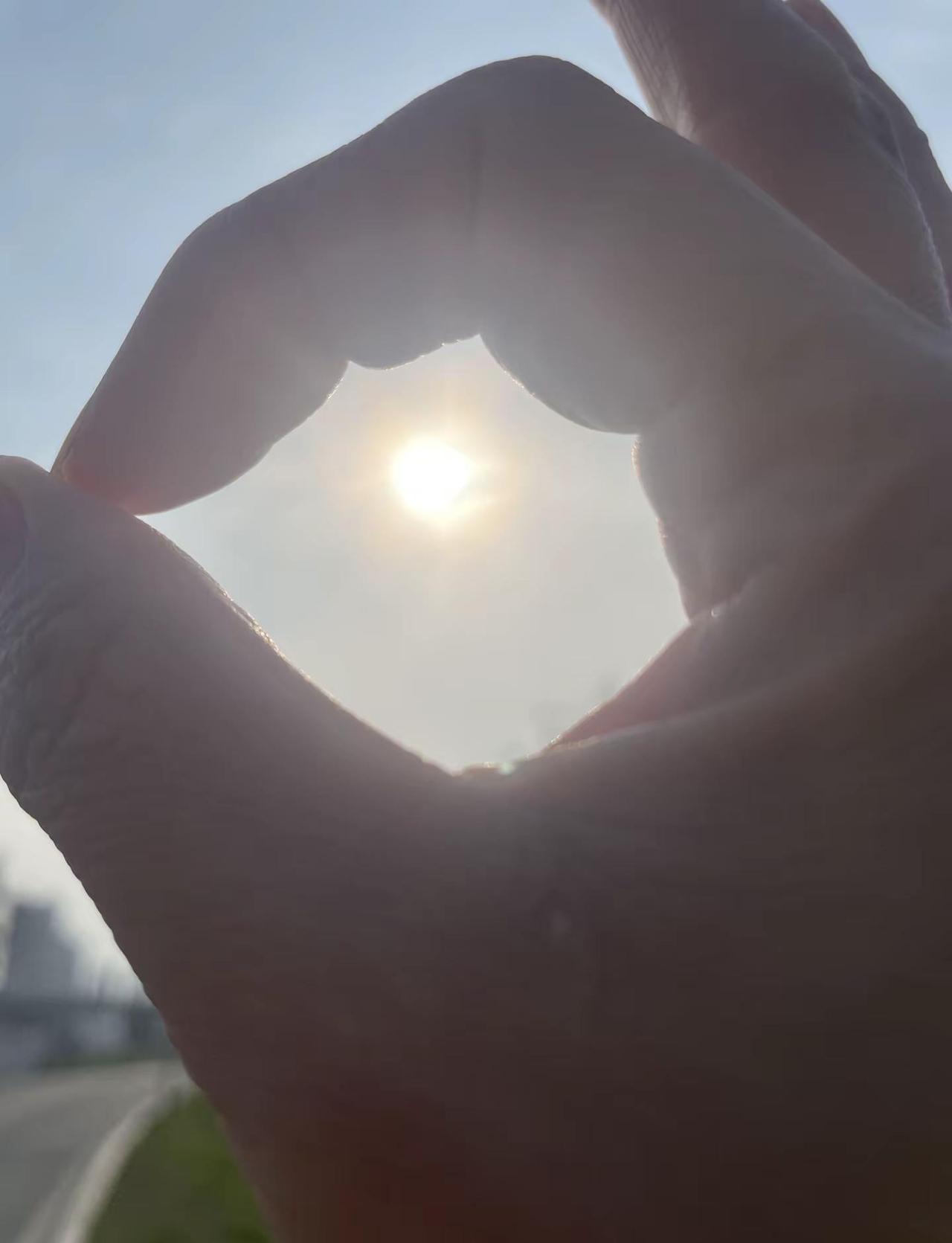 春暖花开，万物复苏，惊蛰，春风向暖，愿日子静好，内心安然。