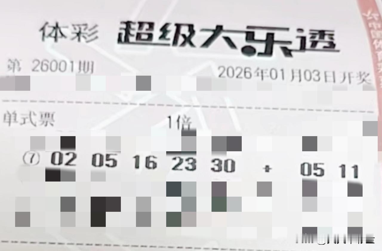 2026最想实现的一件事【晒票票】期望是种子，行动是耕耘，希望是金秋。分享大乐透