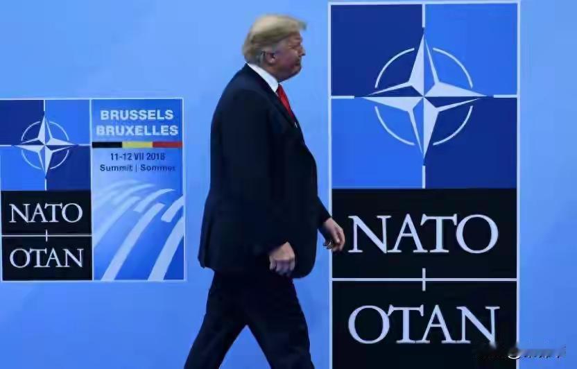 美国加速撤离后，欧洲陷入空前恐慌，被迫砸钱续命，乌方坐地起价
 
 
欧洲高层恐