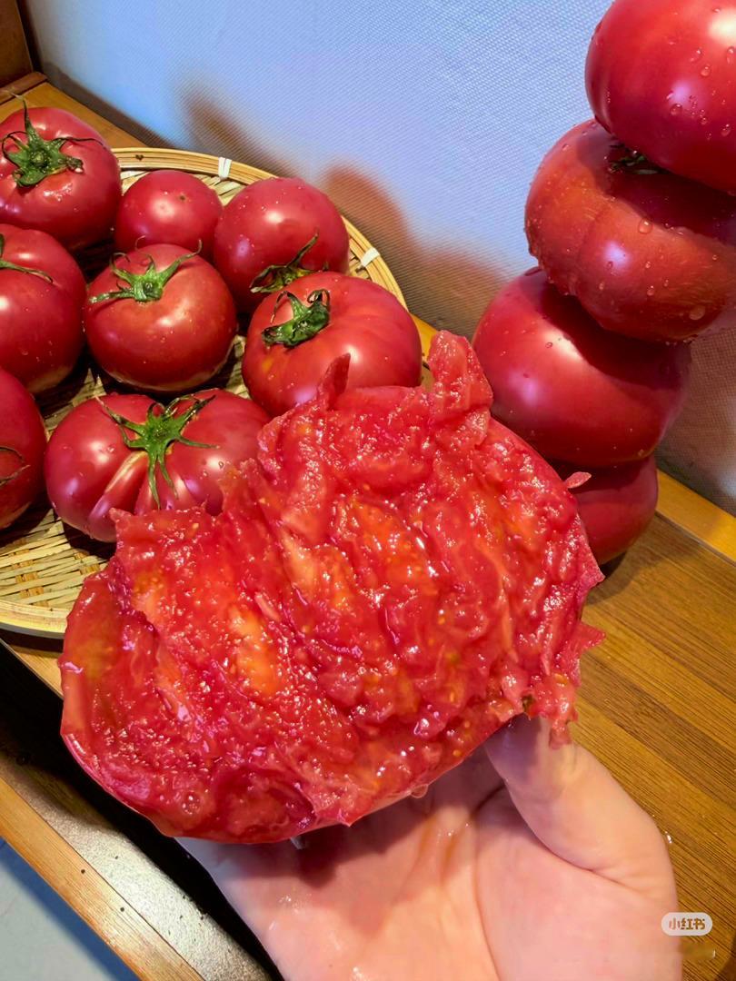 很有食欲的番茄🍅 