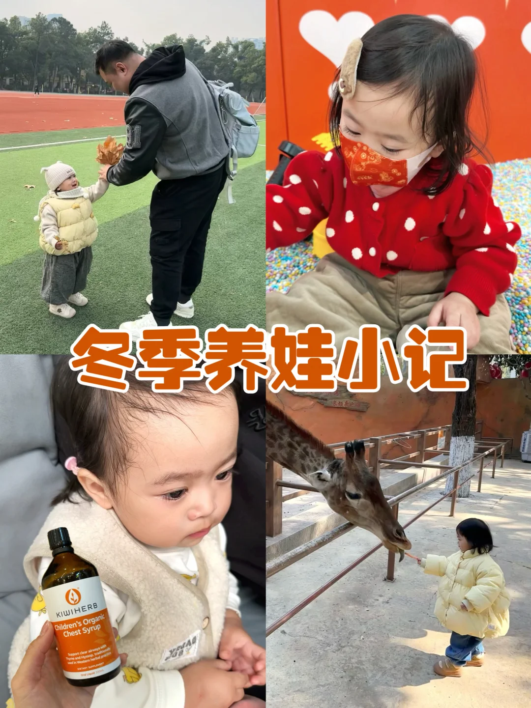 冬季养娃小记📝陪着我的女鹅健康长大吧！