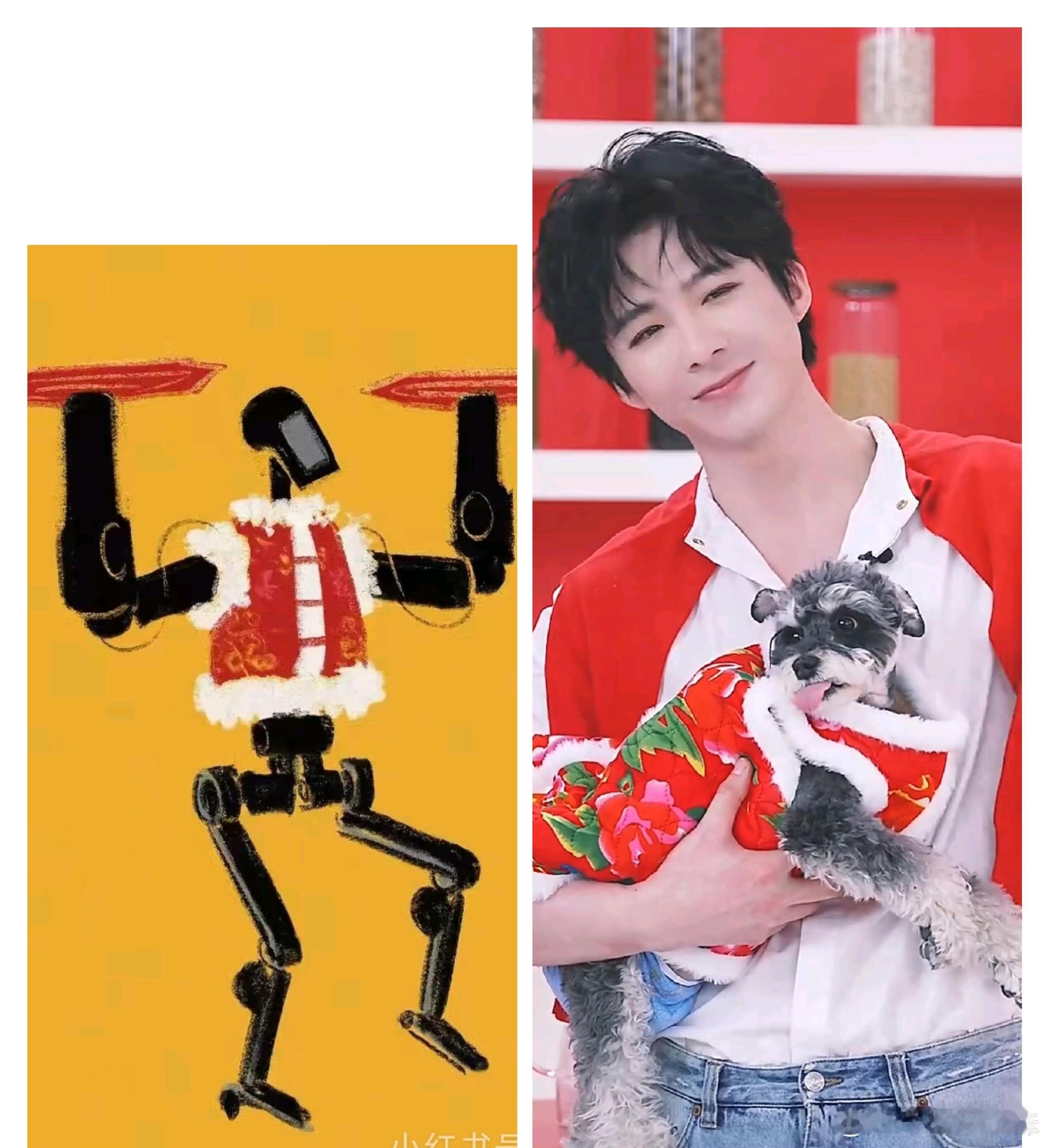 呆米，你怎么和它这么像啊？哈哈哈哈哈哈哈刘呆米