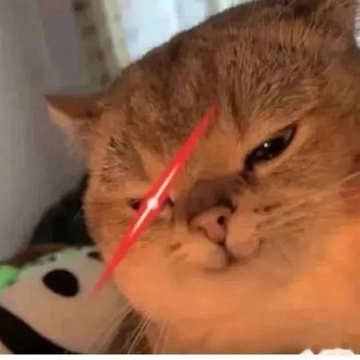 田曦薇又发了小猫表情包田曦薇到底有多少小猫表情包 收藏了 
