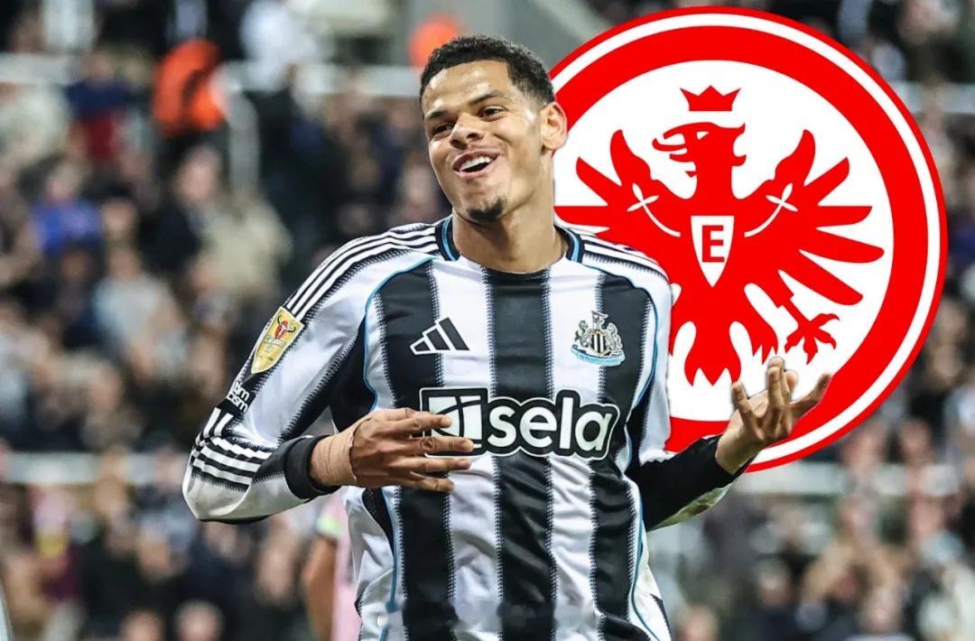 德国天空体育消息，法兰克福正搜寻第三名前锋，并且他们仍然想要签下威廉-奥苏拉。报