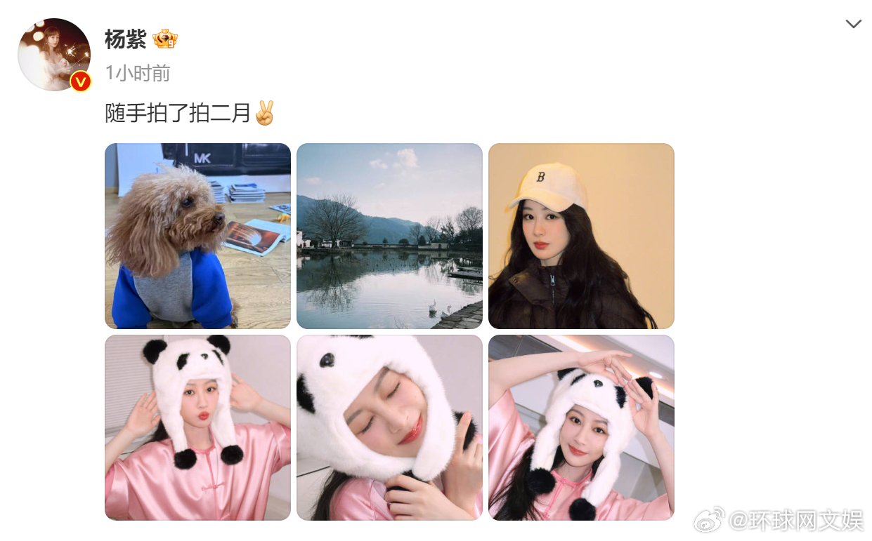 #杨紫随手拍了拍二月# 二月就快结束啦，一起看看手机里的二月吧！你期待在3月看到