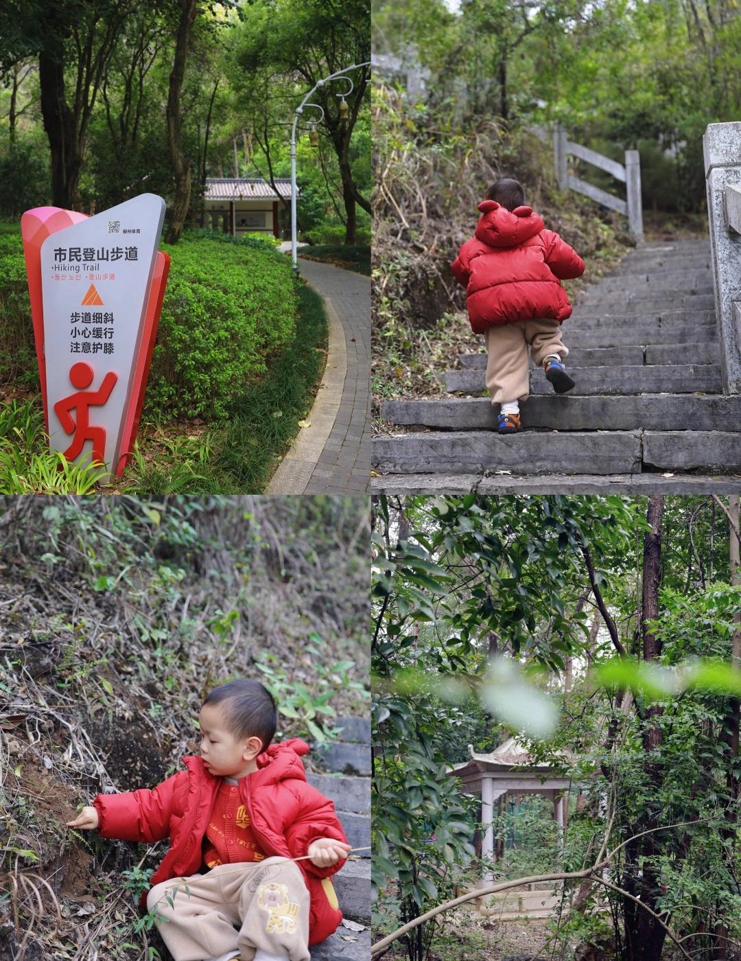 📍马鹿山｜马年第一爬⛰️轻松登顶✅老少皆宜

祝大家马年大吉，春风得意有好运，