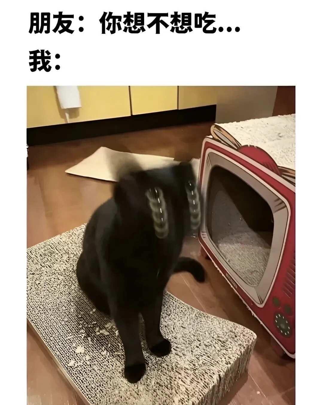 搞笑梗图哈哈哈哈😂哈哈哈哈哈
搞笑 梗图 合理但有病 此图有梗 不用担心作者的