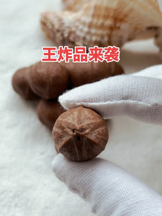 带你360度看稀有大短圆，独一无二
