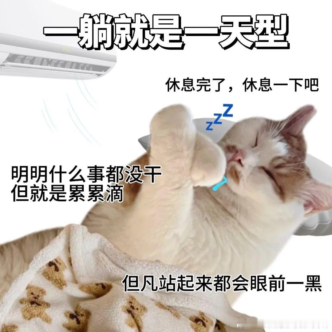 周末计划vs实际周末前一晚还想着亲手烹制美味，第二天看着凌乱的厨房，果断选择外卖