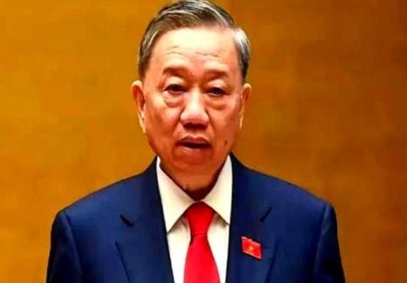 越南这次真是把“反复无常”演绎到了极致！日本驻越大使直接摊牌，百亿美元的宁顺2号