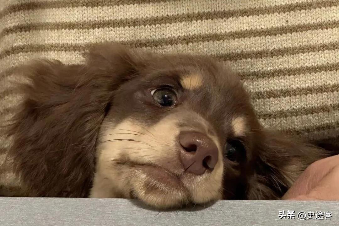 这哪里是什么浪漫的爱情，不过是强权下的身不由己，是一辈子都抹不掉的阴影。