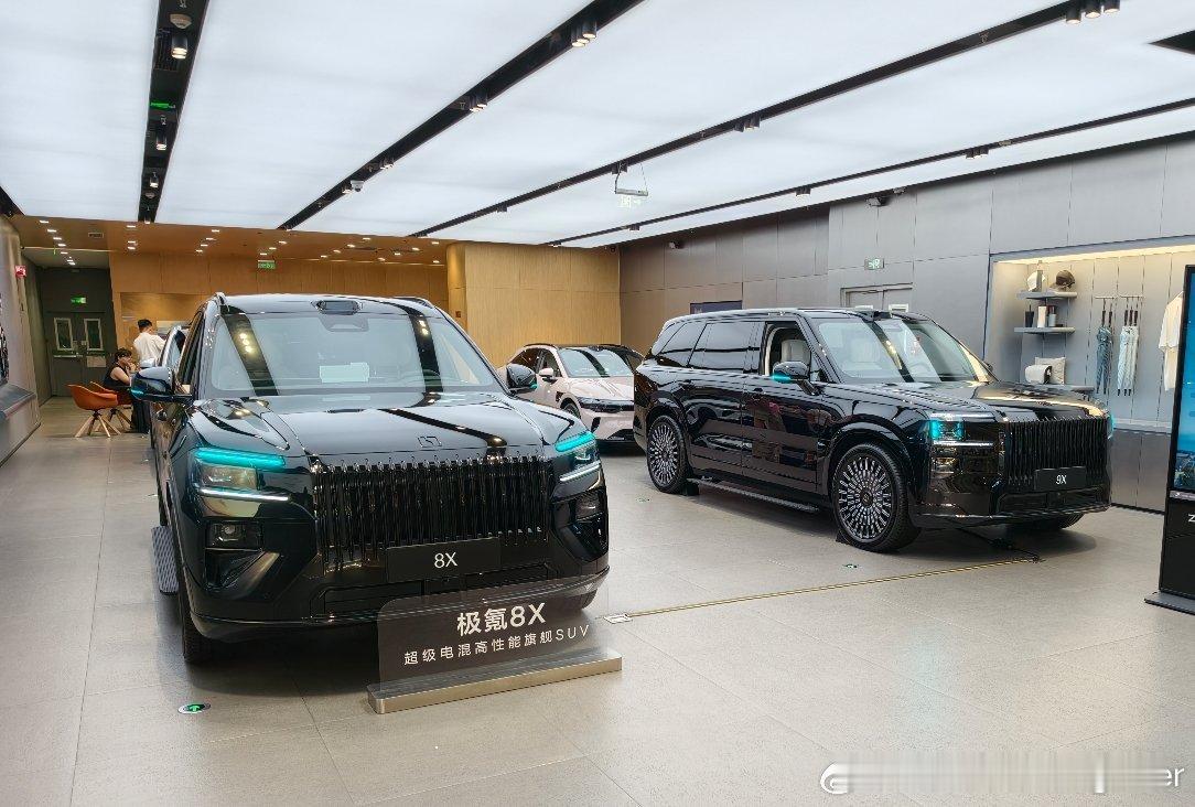 极氪8X和极氪9X黑武士同框，不考虑预算，你喜欢哪个？周末逛店，极氪终于有豪华品