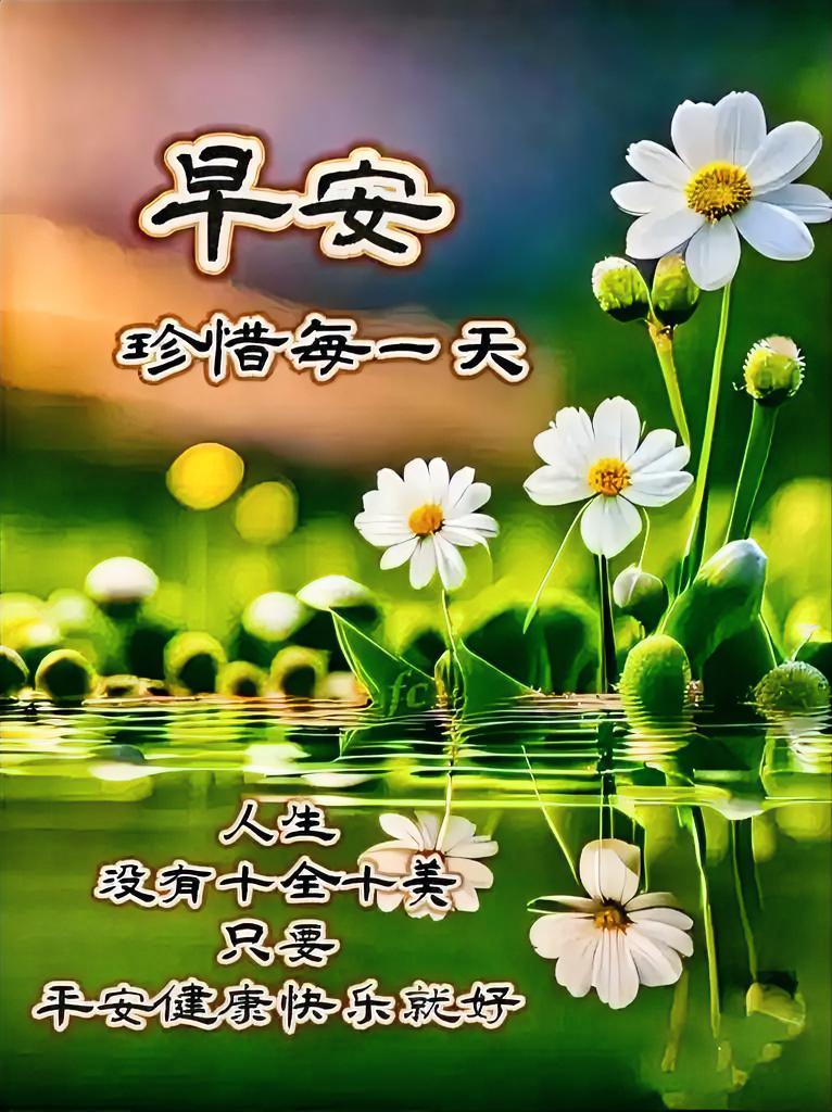 晨光入怀，岁月温柔相伴，日子里的平淡细碎，每一刻都藏着人间的美好！
今日正能量 