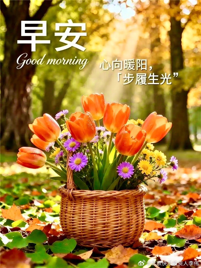 早安：我们无法阻挡岁月的流逝，但可以选择开启每一天的心情。不要被数字困住，晨光为