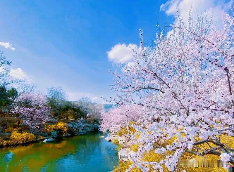 [文笔挑战]上联：人面桃花笑舞春风千古梦
下联？？？？？
“人面桃花笑舞春风千古