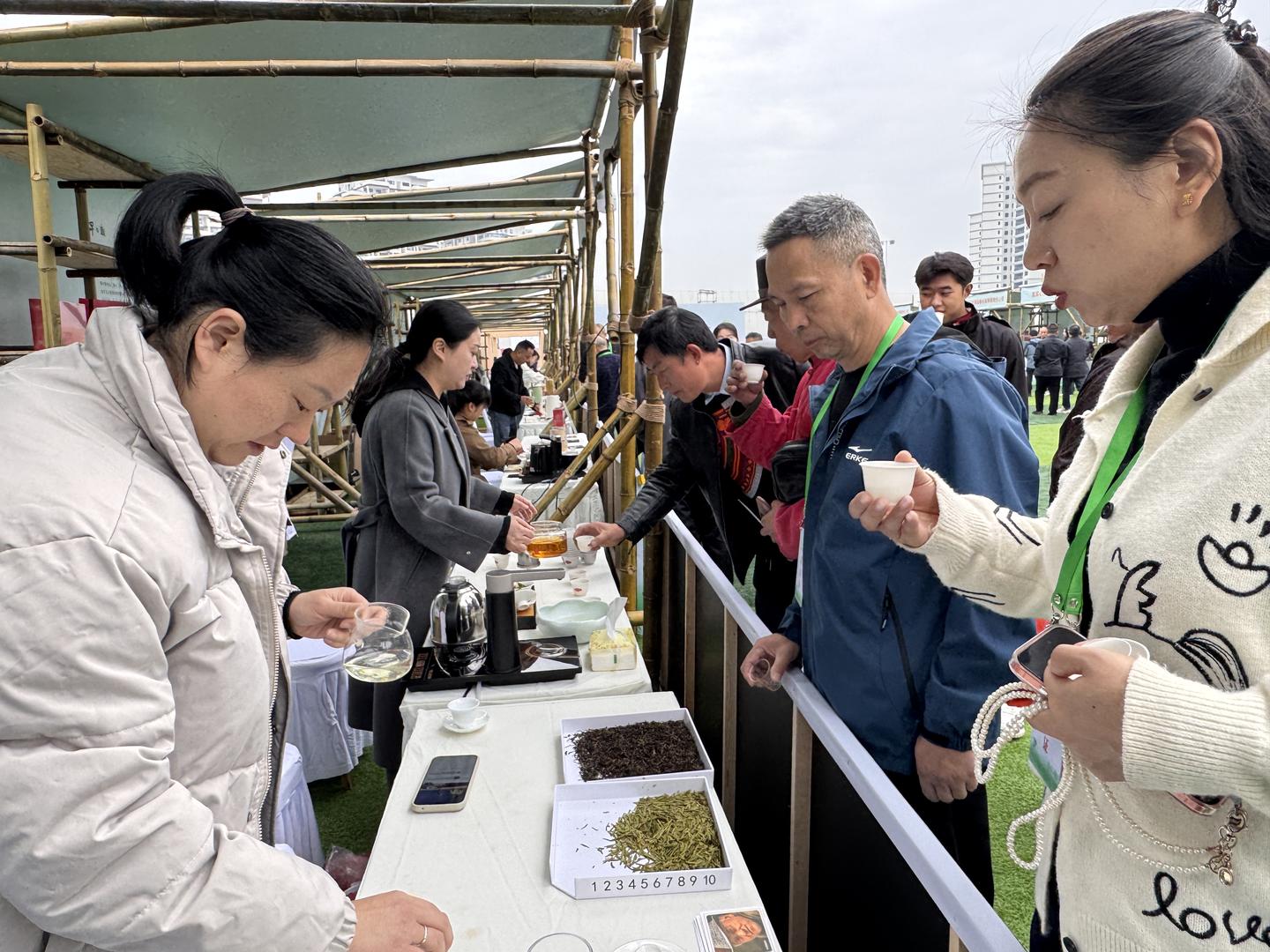 2026宜宾早茶产销对接会开幕 现场签约金额超8亿元