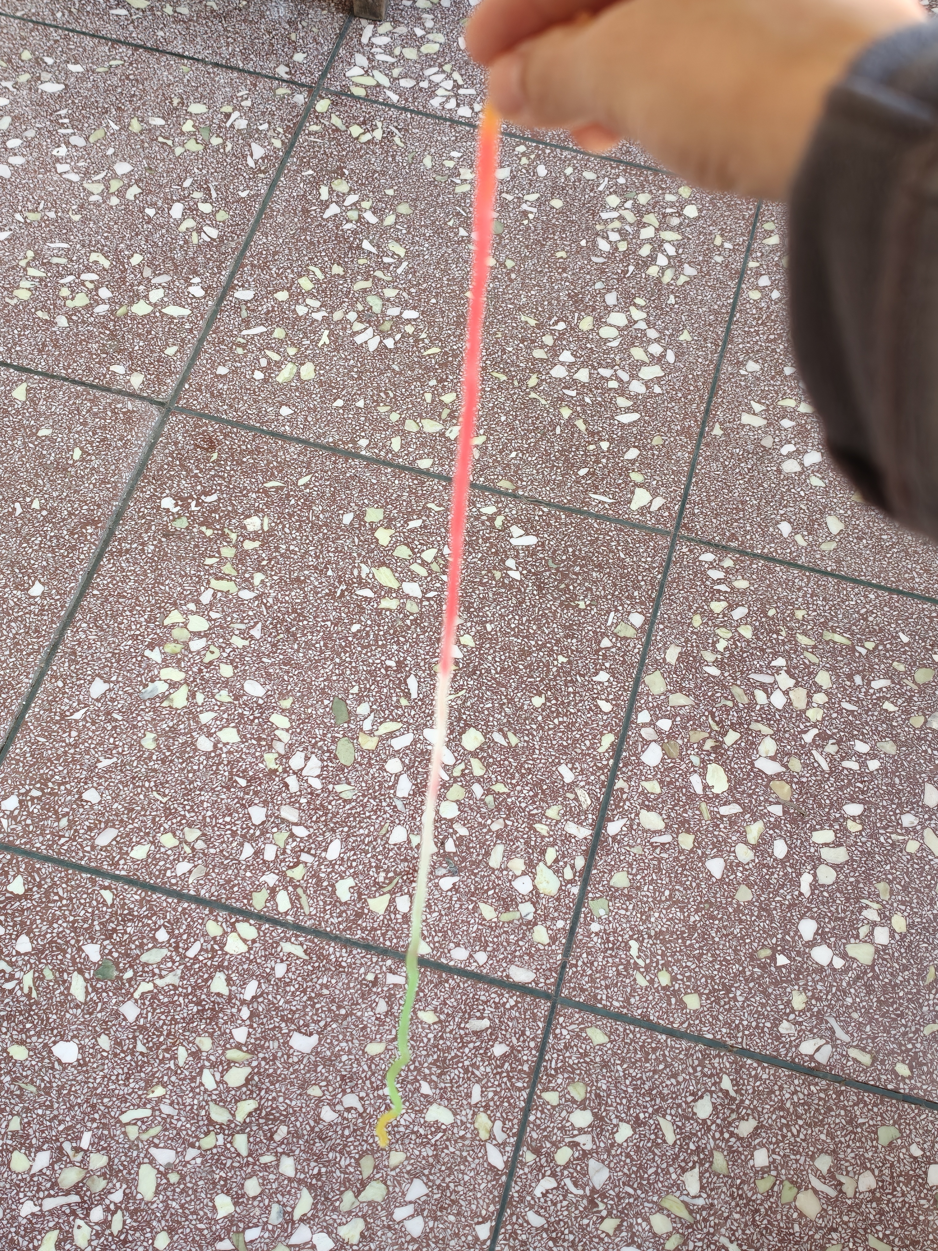 小朋友给我一截糖。。。这糖长得好抽象啊，跟彩虹蚯蚓似的 