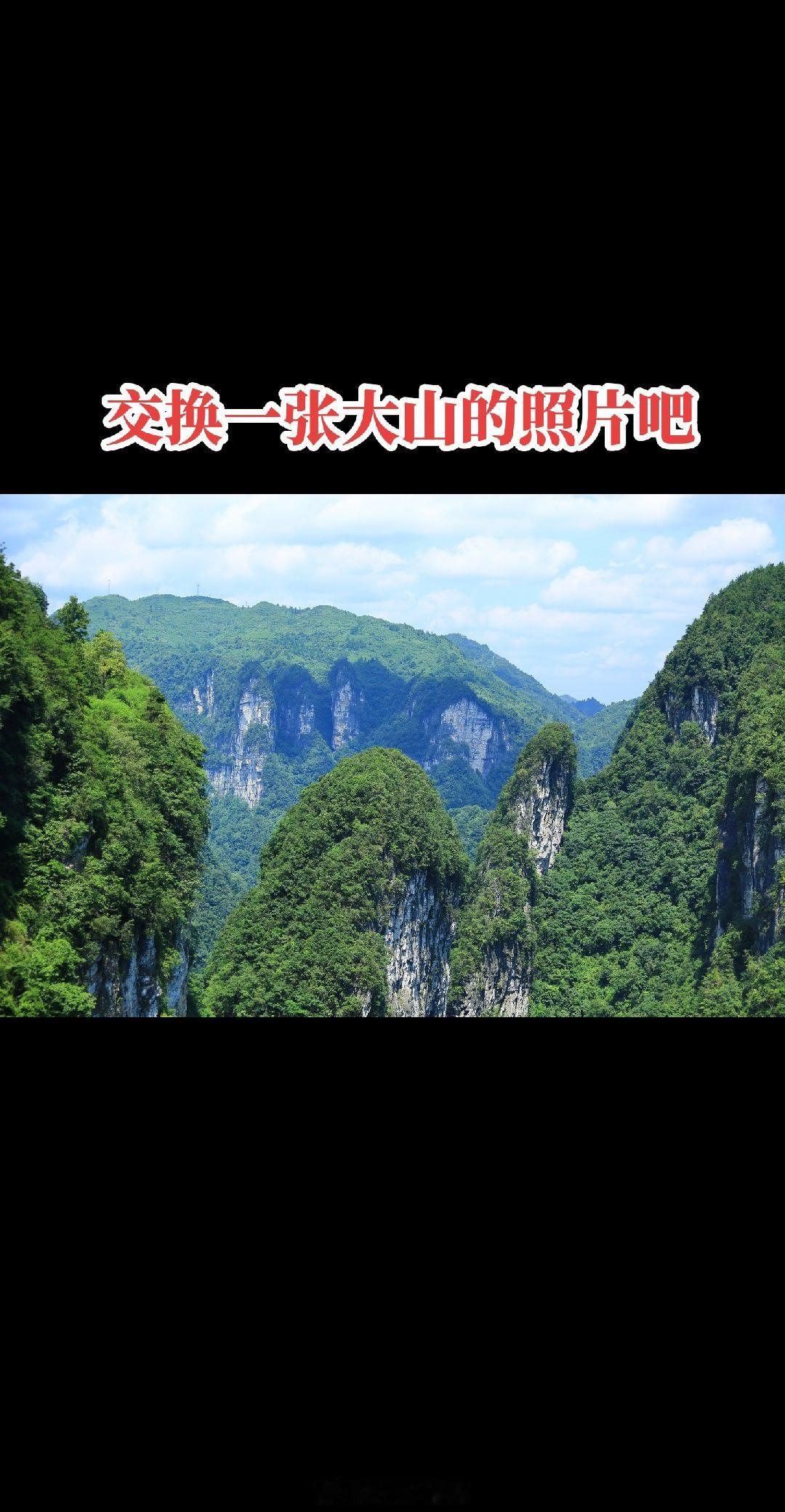 35岁程序员辞职卖肉蛋堡月入5万元昔携长剑酒盈卮，欲向尘间扫浊疵。快意初心随世改