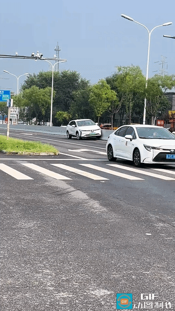 这是怎么了？给车轱辘挠痒痒吗？
这技术一般人可做不出来，我猜司机应该是搞按摩的，