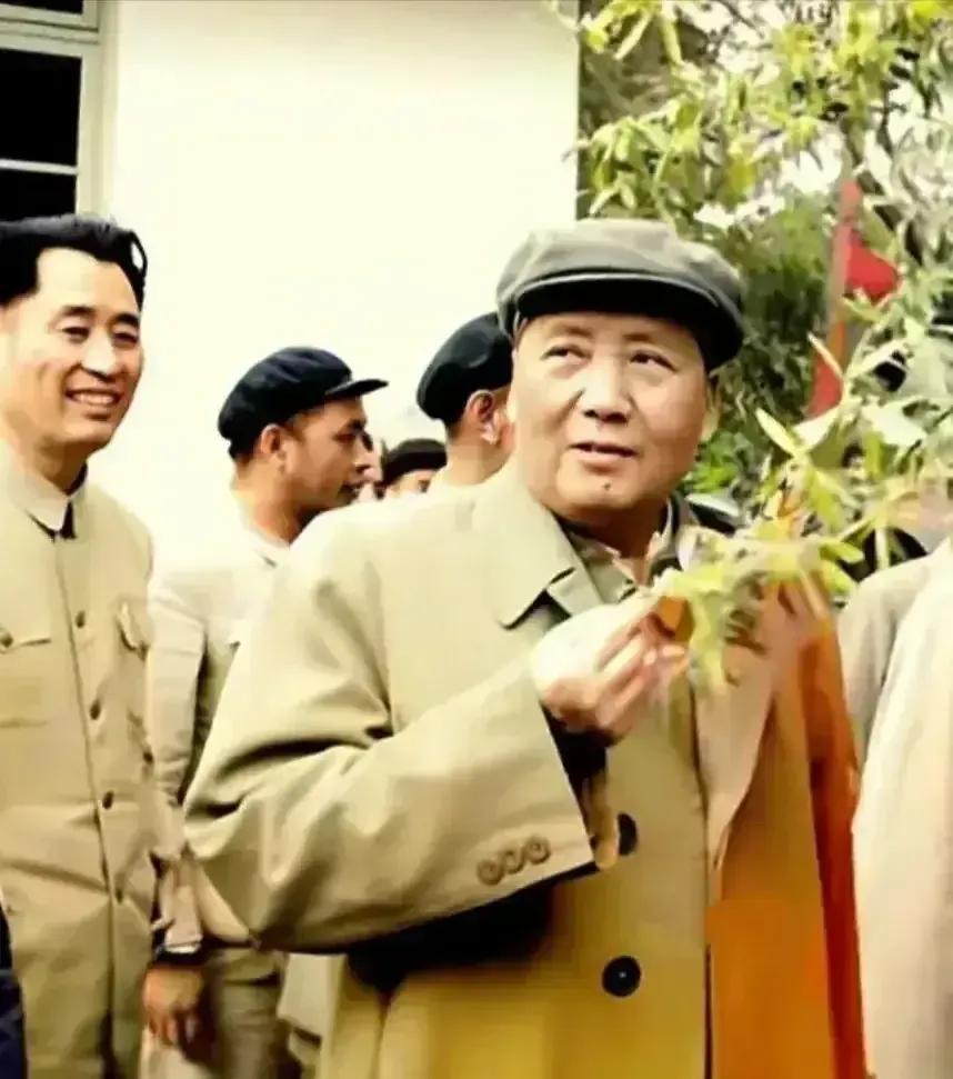 🍀请停留几秒，为伟人点个赞送朵花💐
《颂伟人毛主席》
毛主席，伟大的领袖，