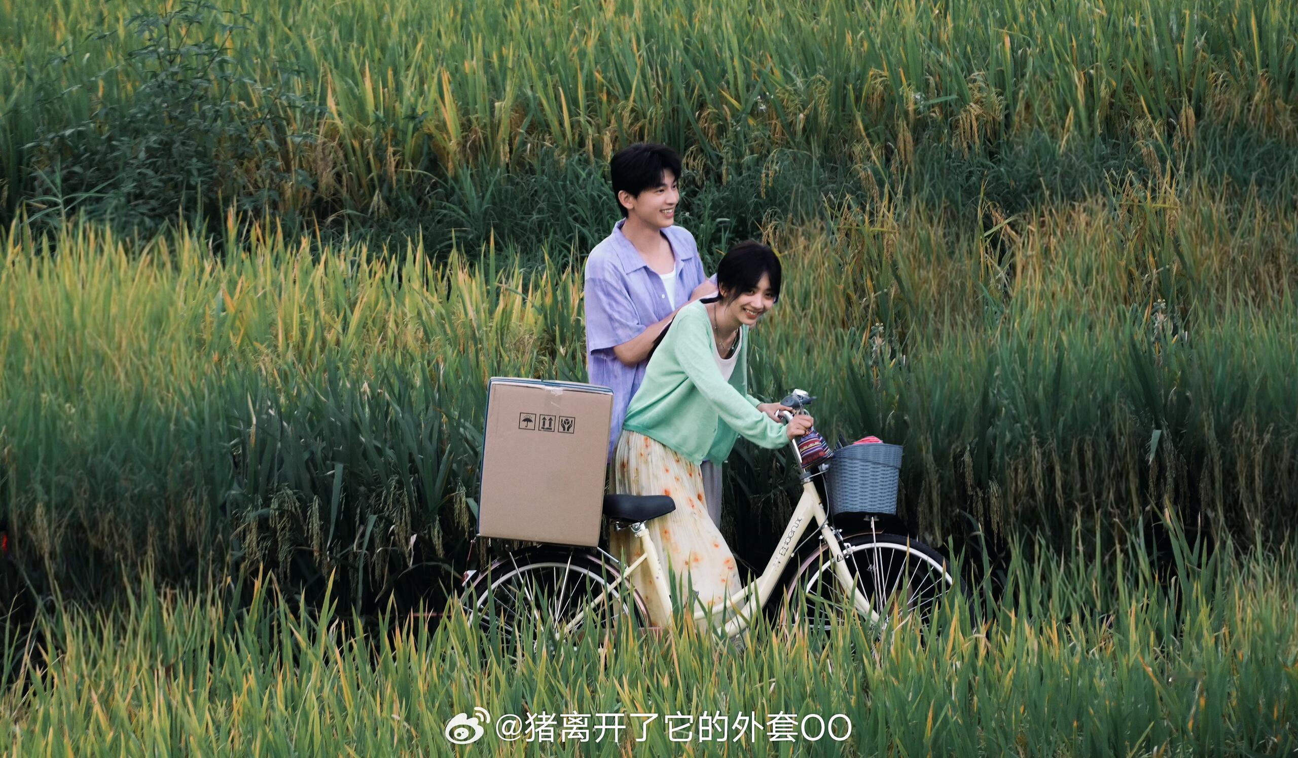 王影璐辛云来《小芳出嫁》同框路透，满满的氧气清新感！！🍃 ​​​