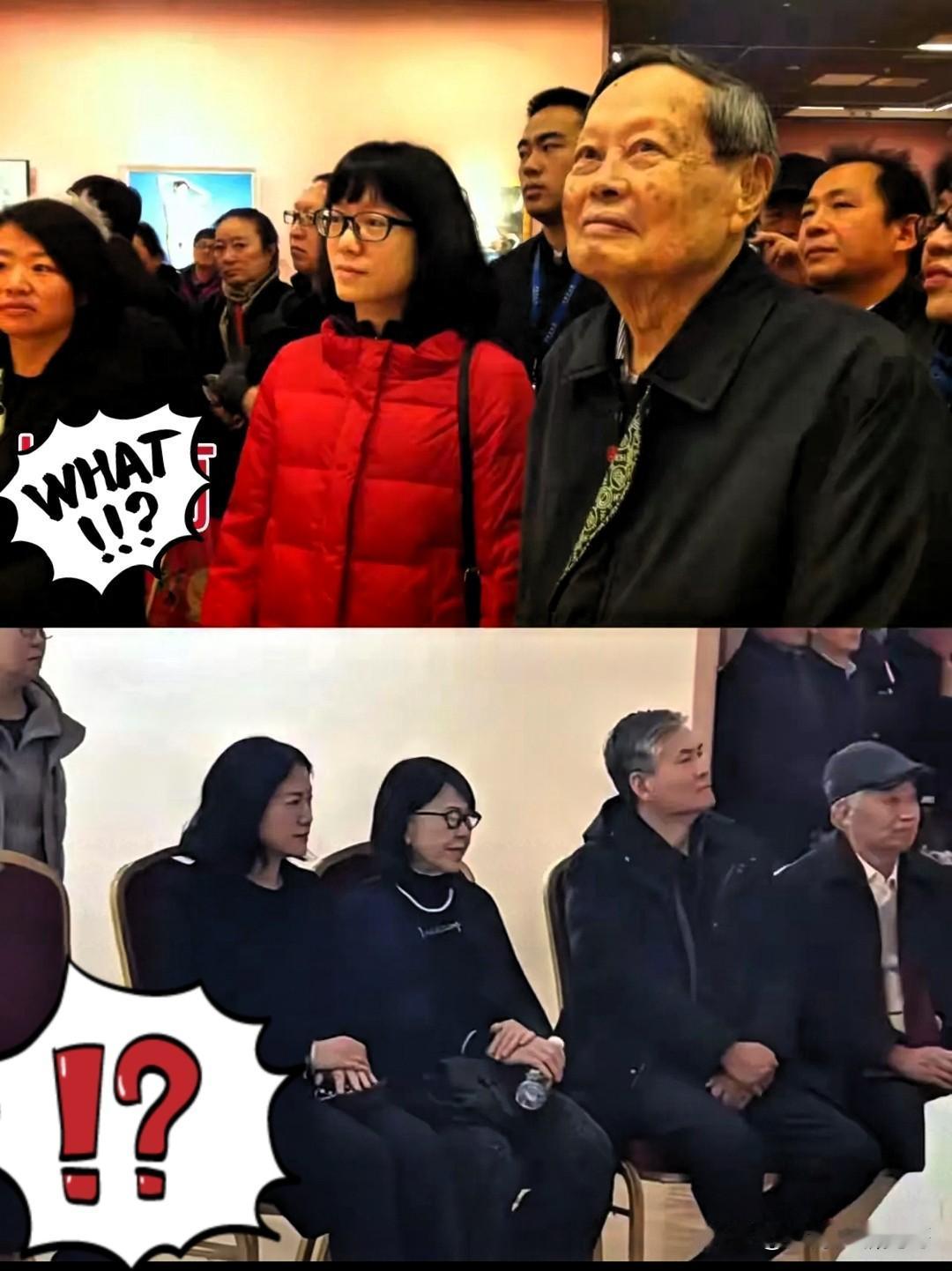 杨先生去世后，翁帆强颜欢笑出席画展，您是否也曾经历过这样的掩饰？

翁帆在杨先生