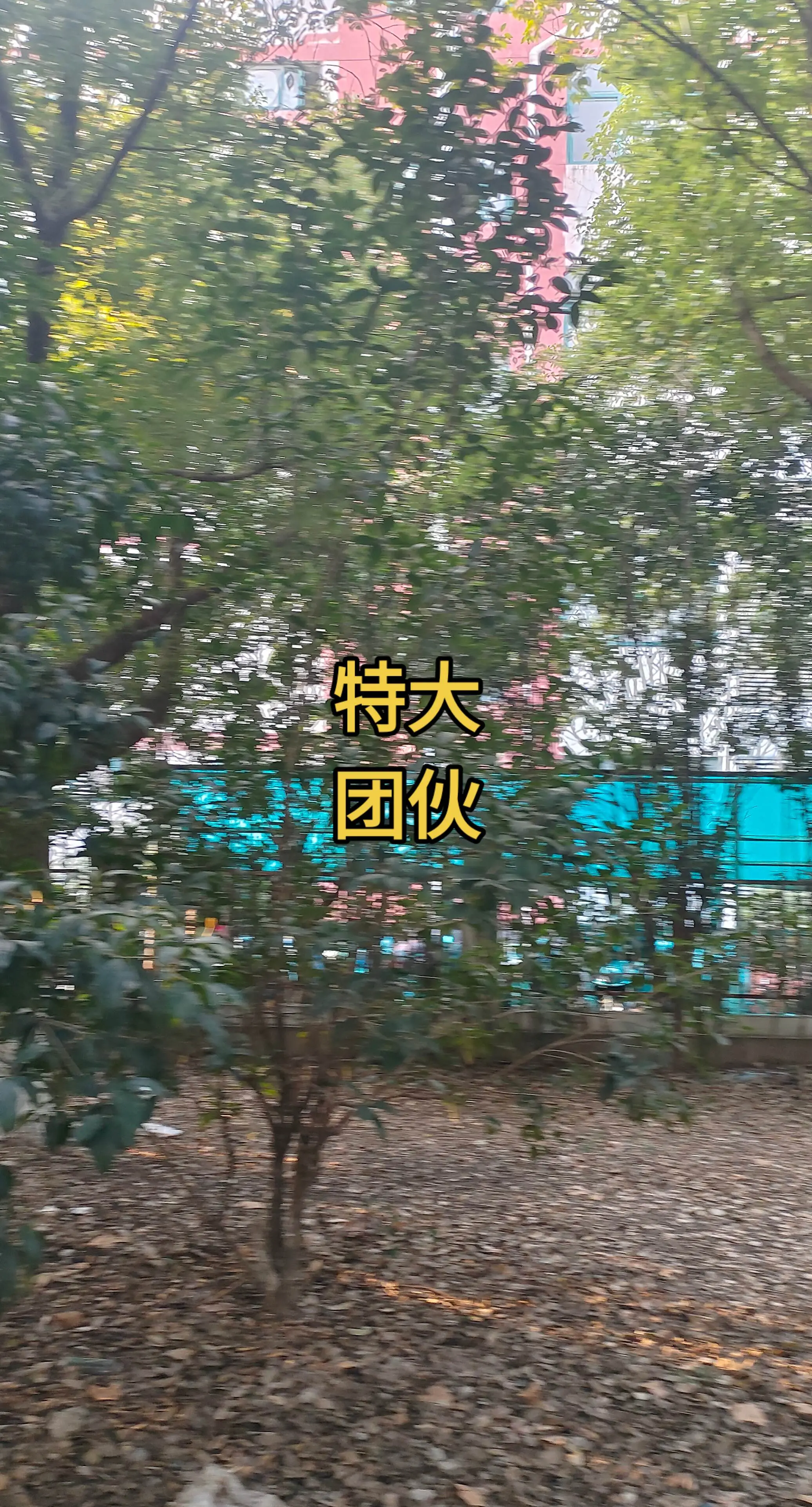 每天分享