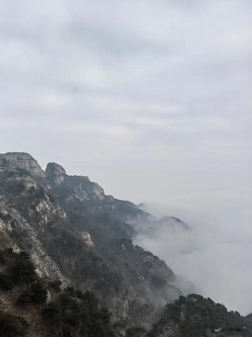 爬泰山小天下，真是登高望远，新年第一山，五岳之尊，7715个台阶，全程6小时。