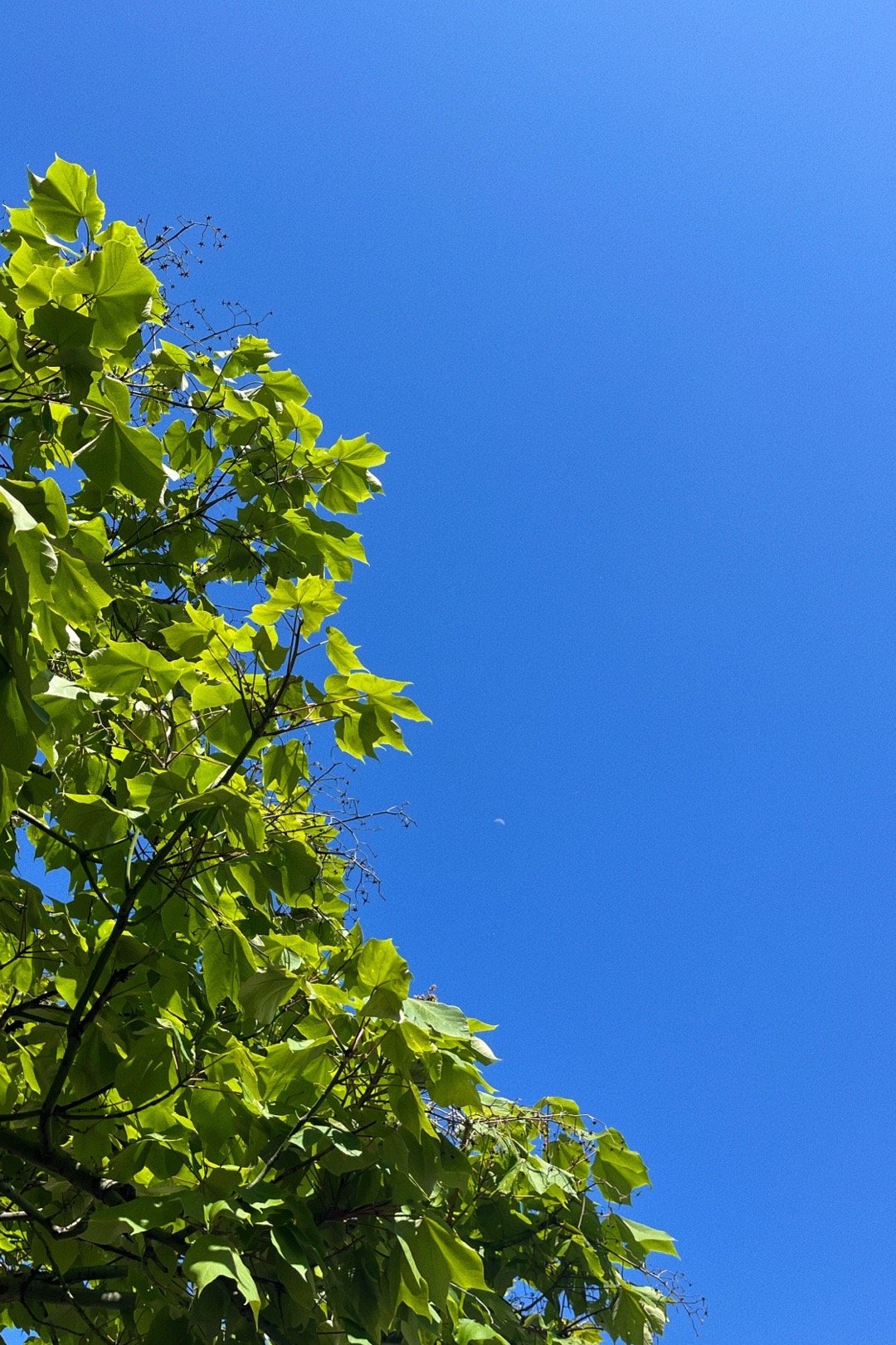 今天天气好极了 ​​​