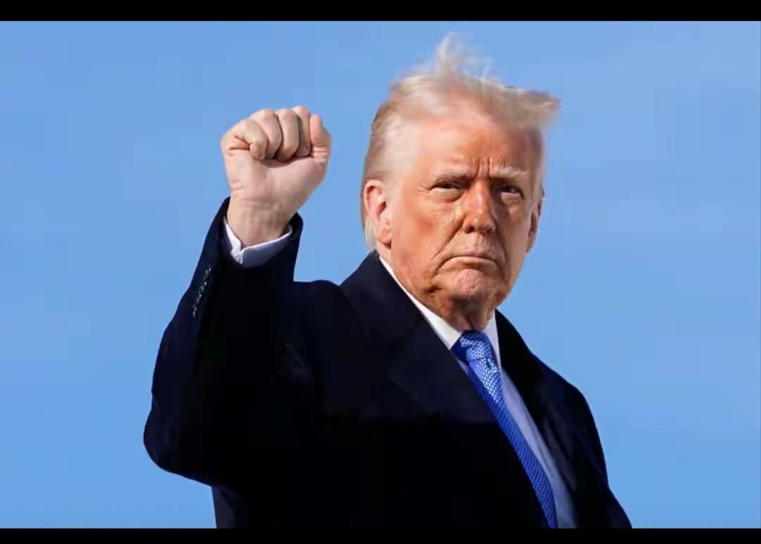 特朗普在白宫内阁会议上突然提到日本和韩国，言辞犀利但方式戏谑，公开表示“很多国家