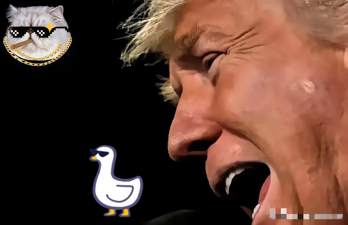 快讯！快讯！
中国国防部突然宣布了，正式就网上流传的“我方在南海使用强大电磁攻击