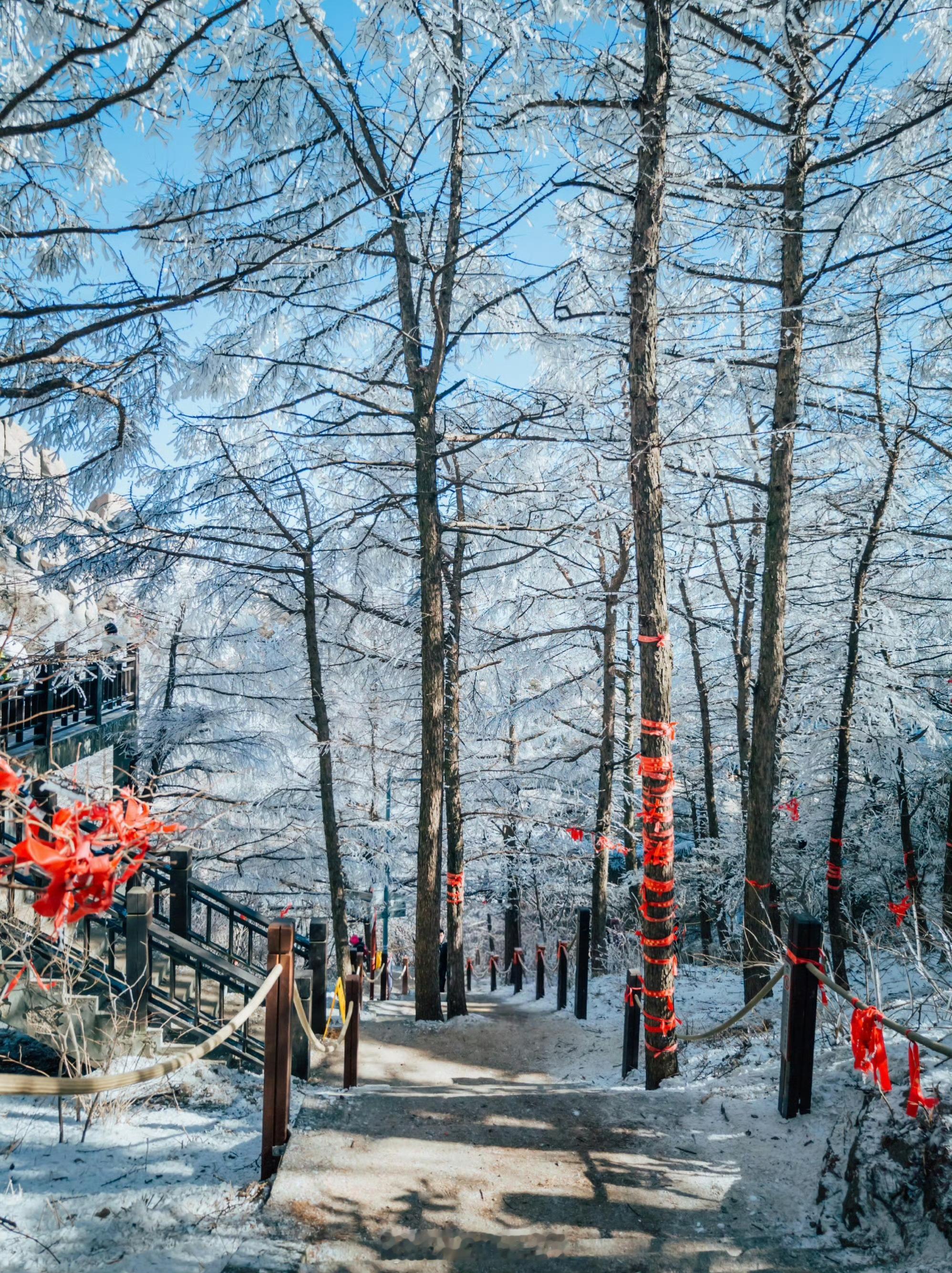 仙山圣境，雾凇奇观，青岛崂山巨峰！[色] 寻美青岛 摄影/ 