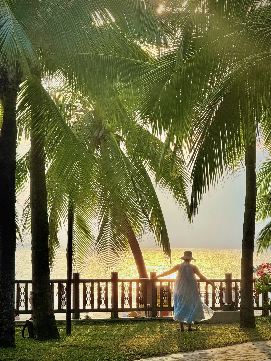 为了这9张图，我特意飞了一趟海南✈️🌴🥥