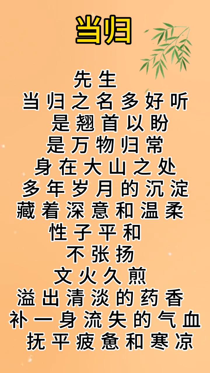 当归先生。
当归之名多好听，是翘首以盼，是万物归常。身在大山之处，多年岁月的沉淀