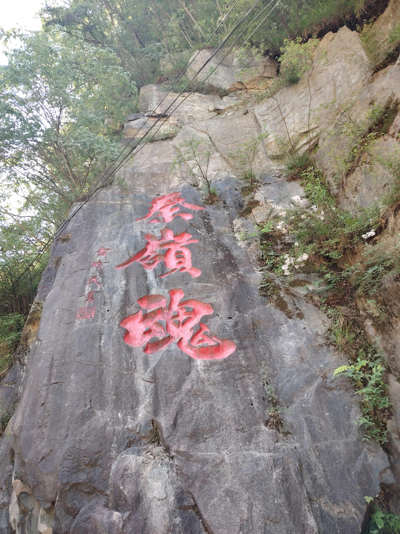 踏进陕西太平国家森林公园的瞬间，城市里攒了半季的燥热瞬间被山风卷得无影无踪。这里