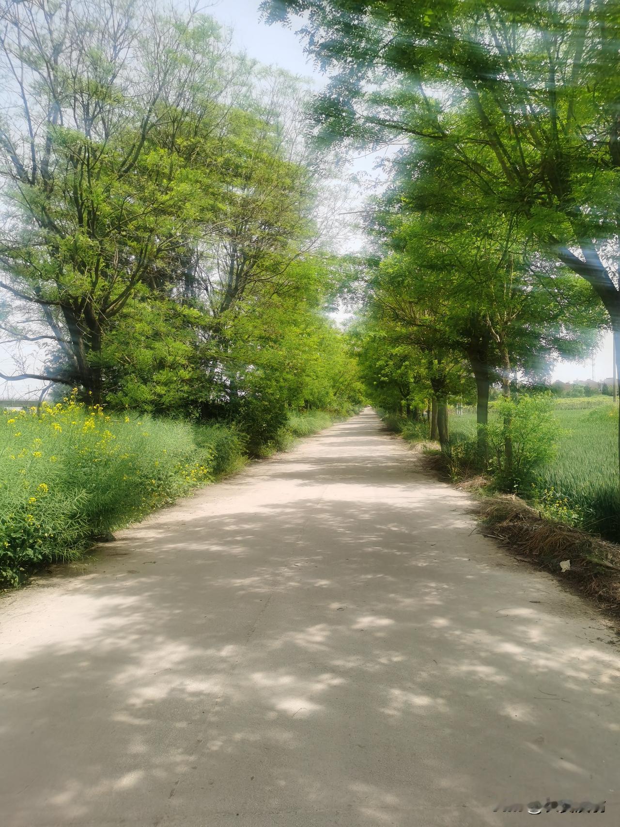 一个人成熟的标志一个是与周围的环境妥协，毕竟环境不会因为自己而存在与改变的。与其