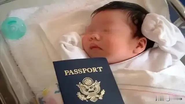 who are  we?
特朗普上任第一天就将取消“出生公民权”，赴美生子彻底没
