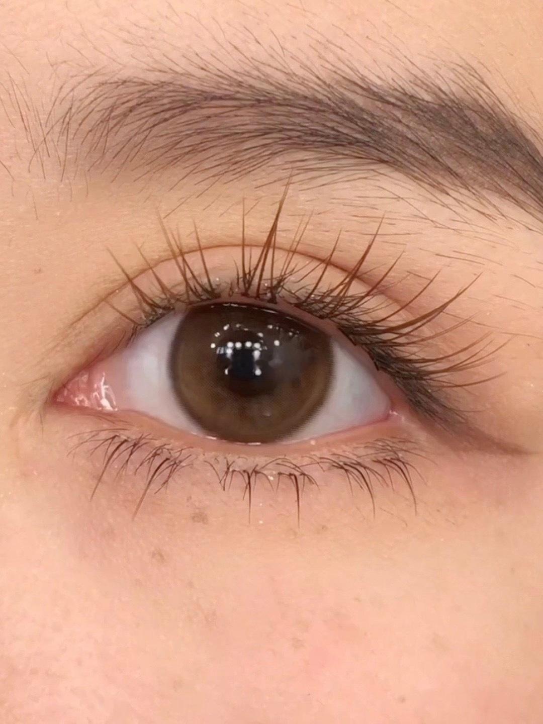 这个眼珠怎么这么水灵🍯栗子咖把暖阳揉进眼睛里暖棕调的温柔感，一眼沦陷自然扩瞳不