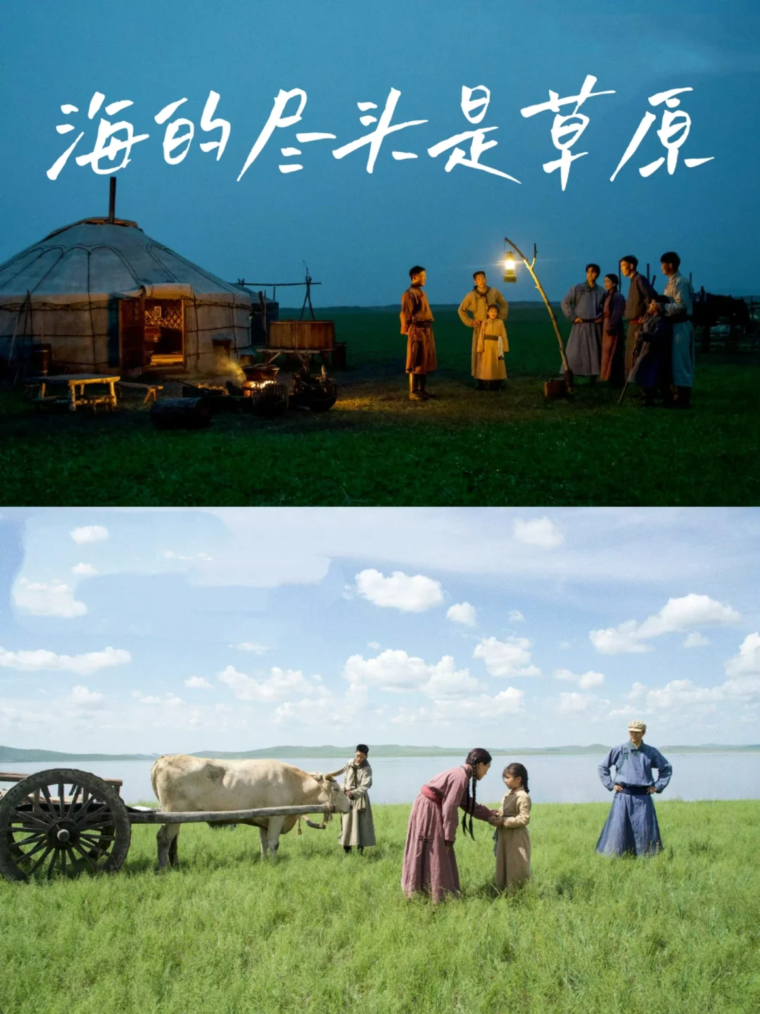 🎬 根据真实事件改编：三千孤儿入内蒙