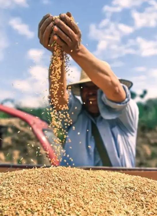 “饿死十四亿人？”美国驻日大使竟然曾公开威胁中国：如果中国不按美国的意愿行事，不